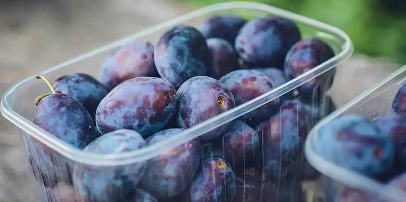 10 ideal fruits for diabetics