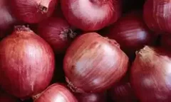 export onion