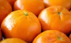 export tangerine