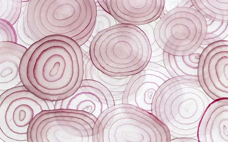 health benefits of onion,nutritional benefits of onion,nutritive beneits of onion