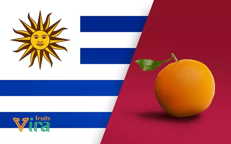Egypt and orange marketing,Germanies challenges in orang marketing,global orange marketing