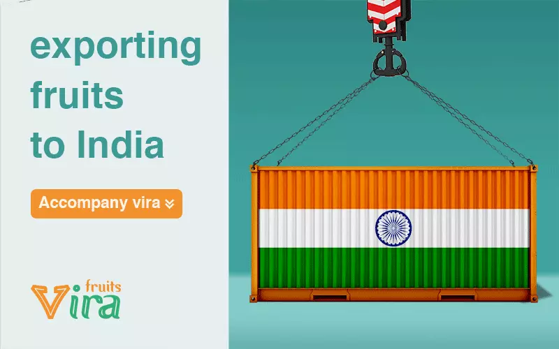 export documentation,exporting fruits to india,exporting to india