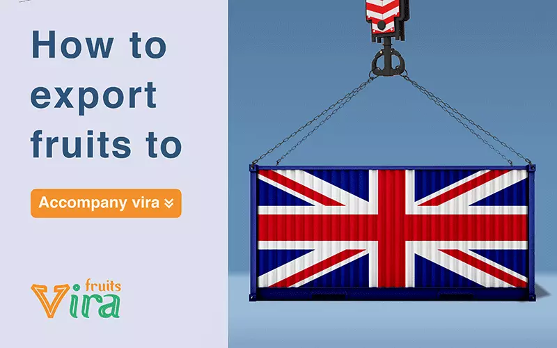 all documentation required,exporting challenges,guidance of exporting to UK