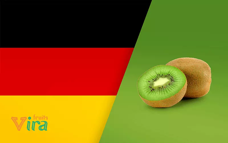 global overlook on kiwi marketing,kiwi marketing in france,kiwi marketing in German