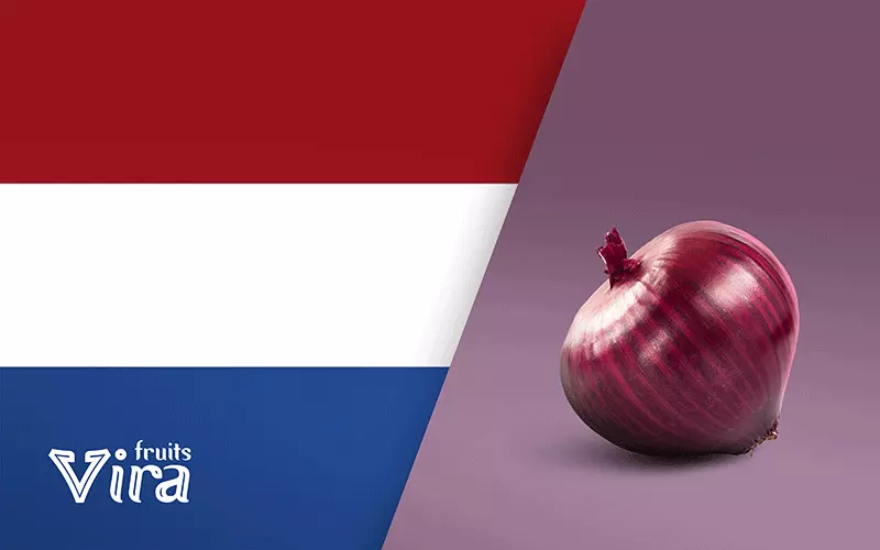 global overlook on onion marketing,how is onion marketing in Italy,how is onion marketing in Netherland