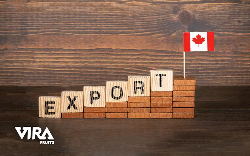 what documents do you need?,how do you want to export to Canada,step by step export to Canada