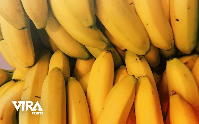 how to do this business?,countries that import bananas,ease in importing bananas from India