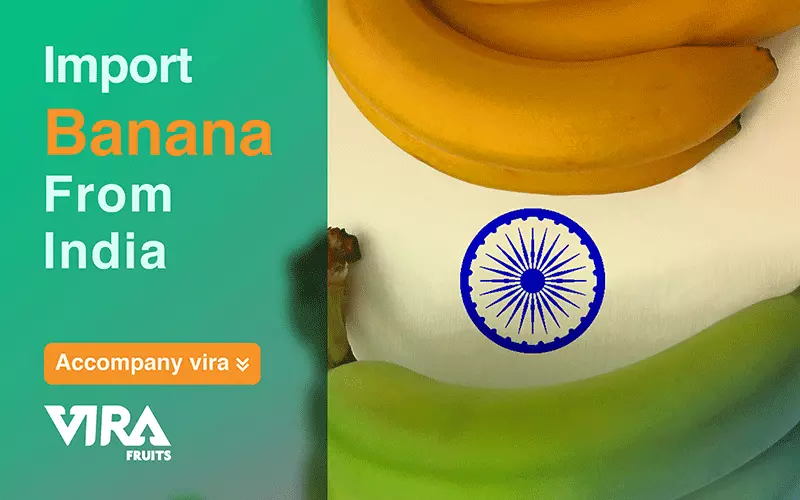 countries that import bananas,ease in importing bananas from India,how is the transportation and storage?