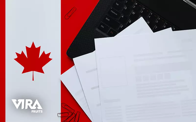 what challenges you will face,what documents do you need?,how do you want to export to Canada