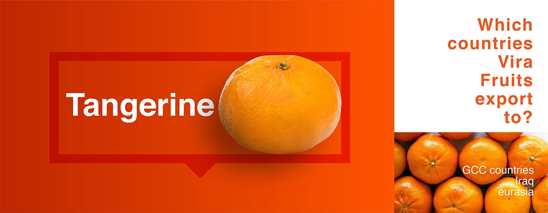 Tangerine exporter in Iran