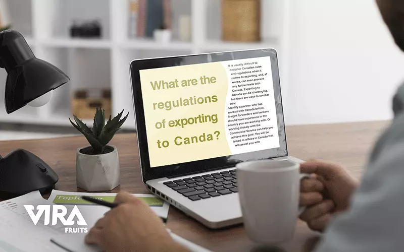 step by step export to Canada,the rules you have to know about exporting to Canada,what challenges you will face