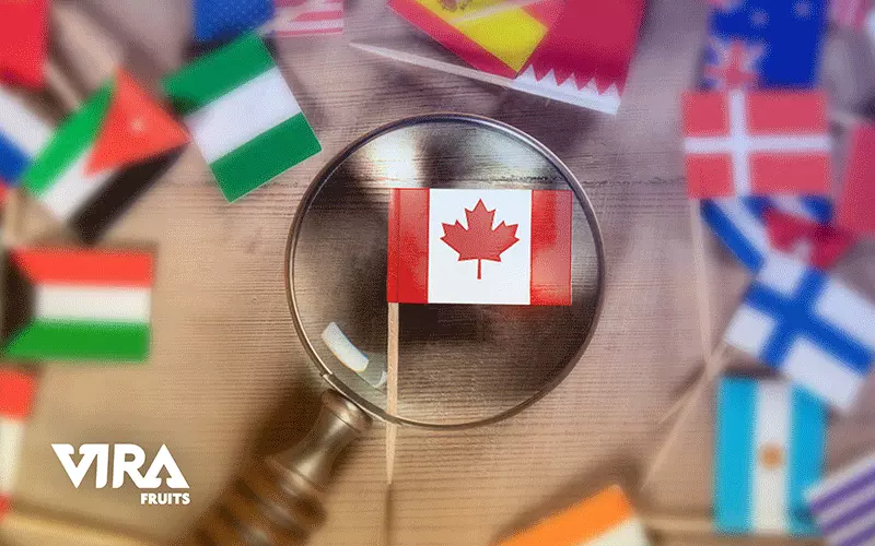 how do you want to export to Canada,step by step export to Canada,the rules you have to know about exporting to Canada