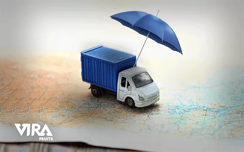 buyer or seller purchase it ?,covered by insurance,the meaning of shipping insurance