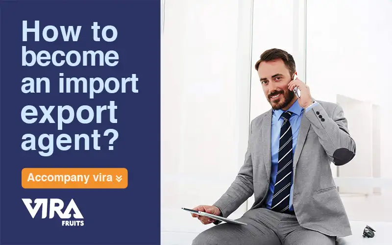 become an import export agent,what import export agent do,what is an import export agent