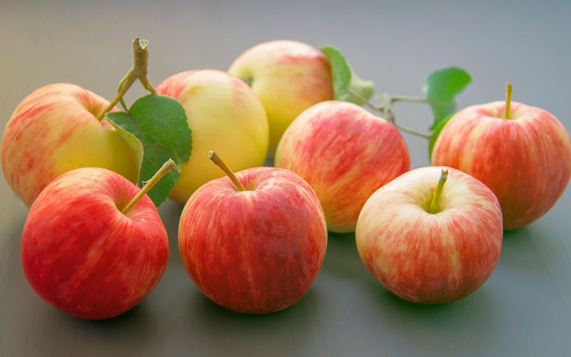 Don't store apples with strong smelling foods,easy harvest,Examine its firmness when choosing an Iranian apple