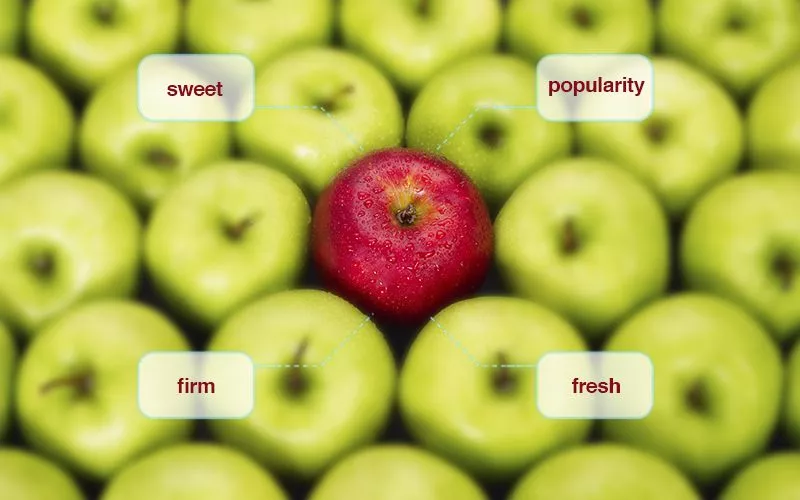apples varieties,the most popular varieties of apples,varieties of apples in cooking