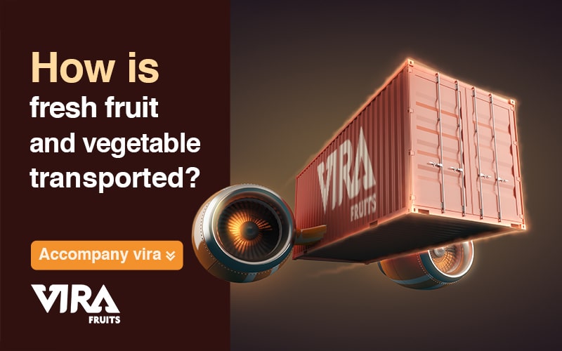 How is fresh fruit and vegetable transported?