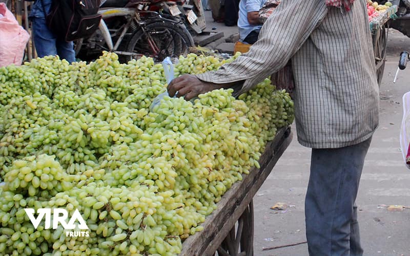 Indian grape- The area and production of Indian grape