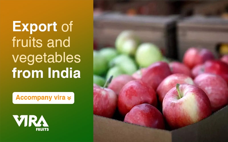 Export of fruits and vegetables from India