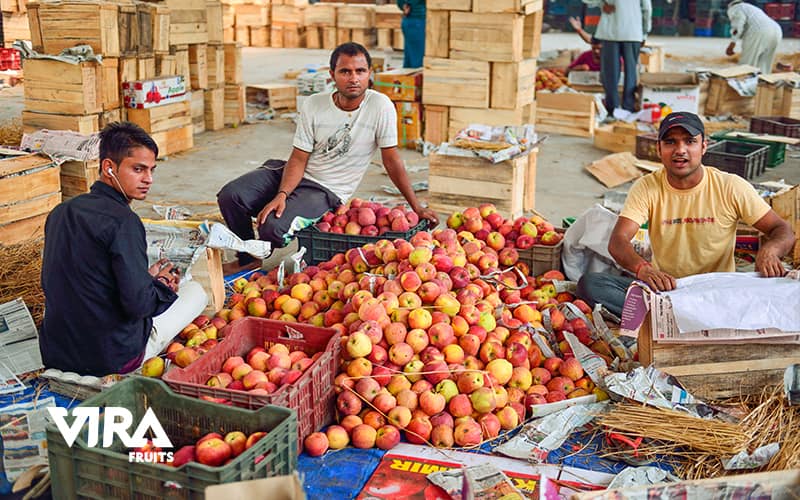 Export of fruits and vegetables from India