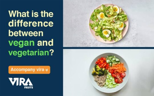 What is the difference between vegan and vegetarian?